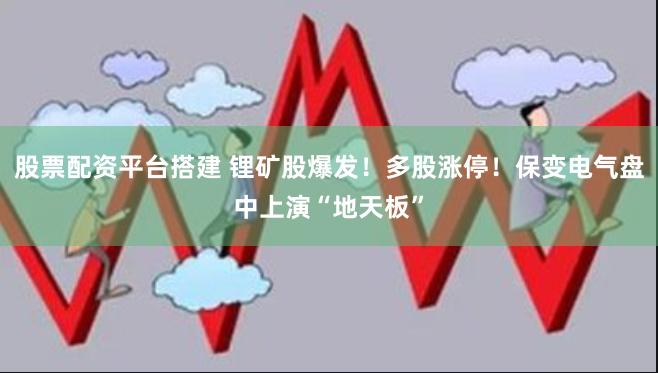 股票配资平台搭建 锂矿股爆发！多股涨停！保变电气盘中上演“地天板”