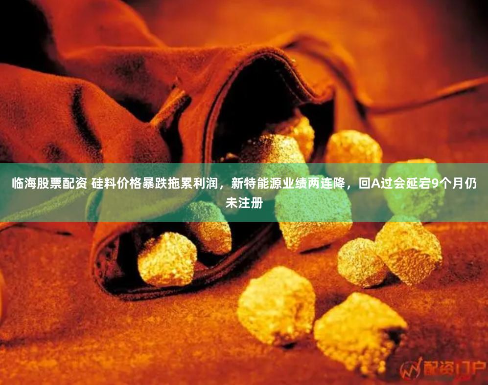 临海股票配资 硅料价格暴跌拖累利润，新特能源业绩两连降，回A过会延宕9个月仍未注册