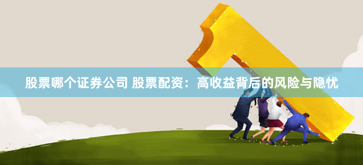 股票哪个证券公司 股票配资：高收益背后的风险与隐忧