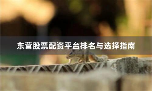 东营股票配资平台排名与选择指南